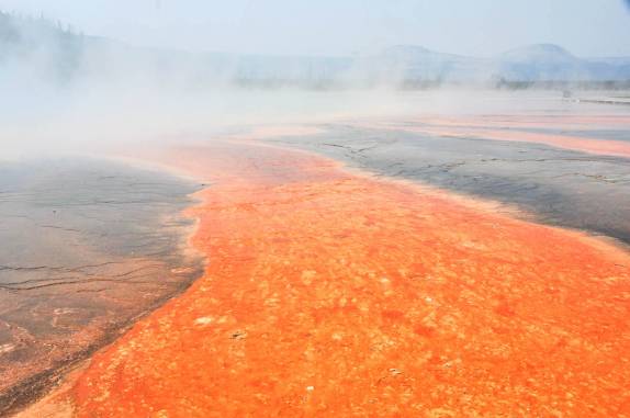 Grand Prismatic Pool escondida por seus próprios vapores, no Yellowstone National Park, em Wyoming, nos Estados Unidos